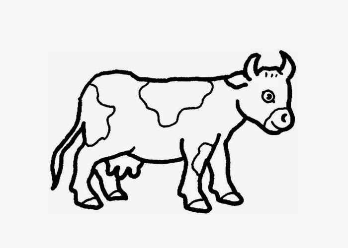Baby Cow Coloring Pages
 Baby cow coloring page