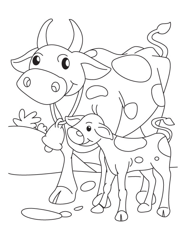 Baby Cow Coloring Pages
 Baby Cow Drawing at GetDrawings