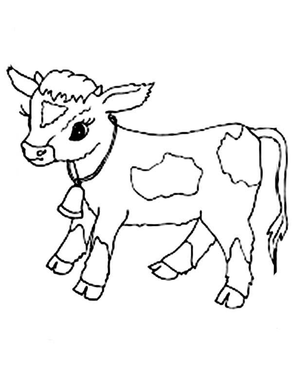 Baby Cow Coloring Pages
 Baby Cow Coloring Page NetArt