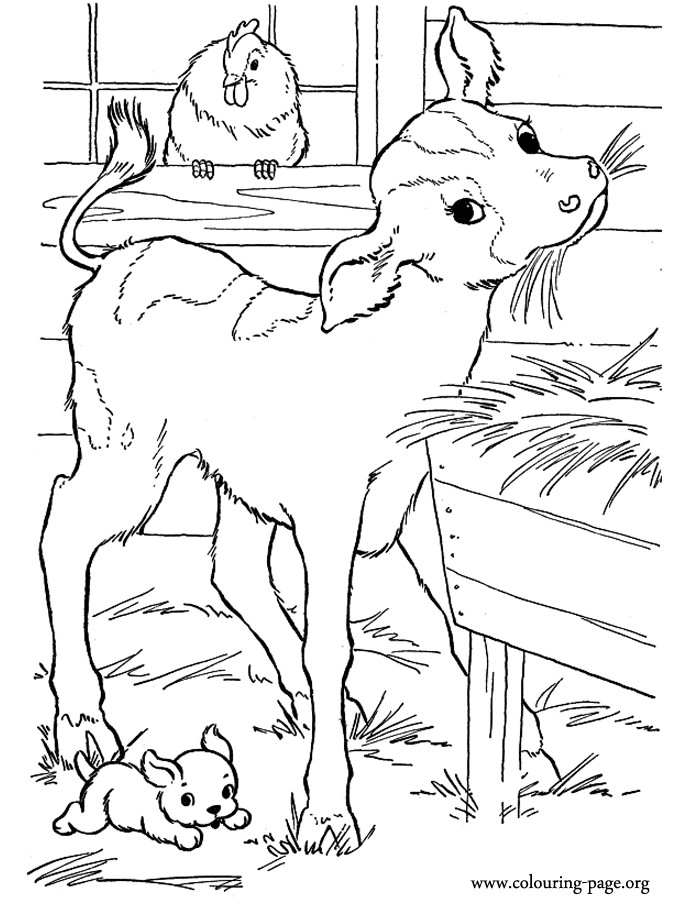 Baby Cow Coloring Pages
 Cute Baby Cow Coloring Pages To Print Coloring Pages