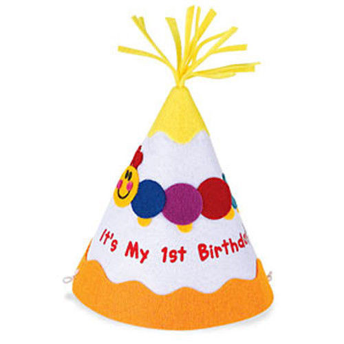 Baby Einstein Party Supply
 Baby Einstein It s My First Birthday Party Hat Cone Shaped