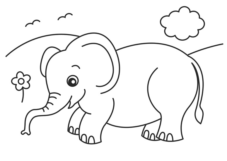 Baby Elephant Coloring Sheet
 Baby Elephant Coloring Pages Animal