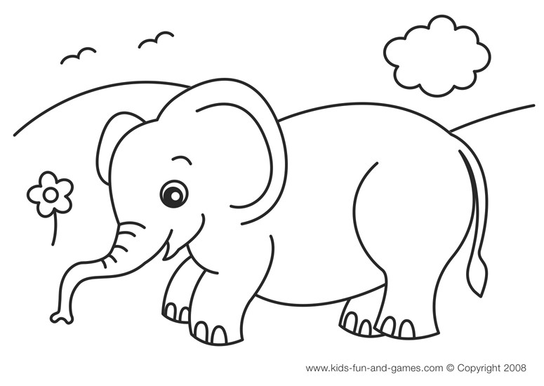 Baby Elephant Coloring Sheet
 Bir Filin Dünyası