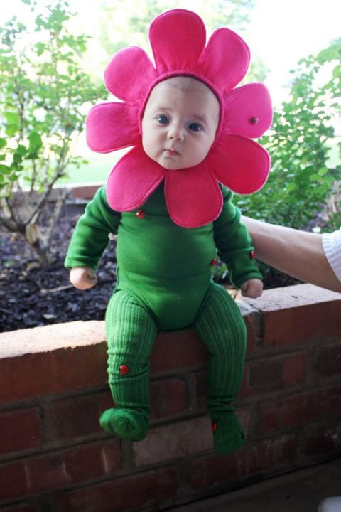 Baby Flower Halloween Costumes
 30 Best Baby Halloween Costumes For 2017 Cutest Babies