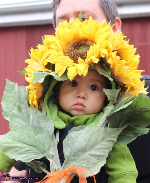 Baby Flower Halloween Costumes
 Bouquet of Flowers DIY Baby Costume