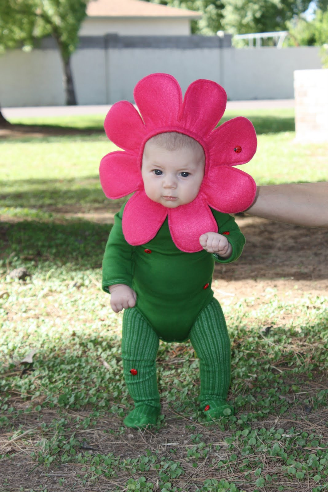 Baby Flower Halloween Costumes
 Joy Halloween Finally