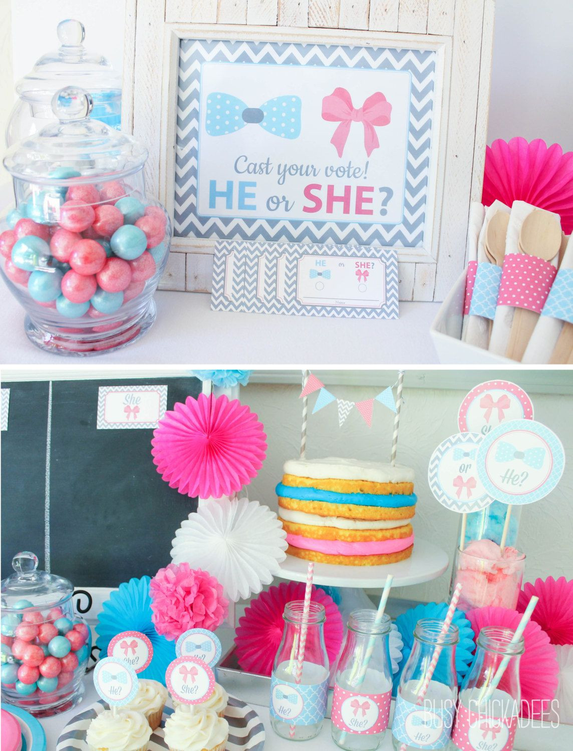 Baby Gender Reveal Decoration Ideas
 10 Baby Gender Reveal Party Ideas Baby Shower