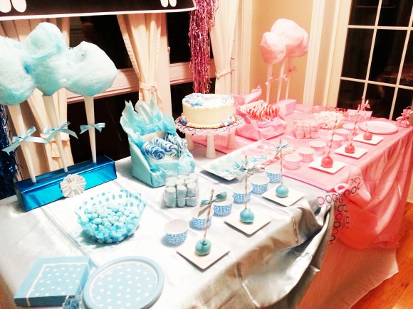 Baby Gender Reveal Decoration Ideas
 7 Must Have Ideas for your Gender Reveal Baby Shower