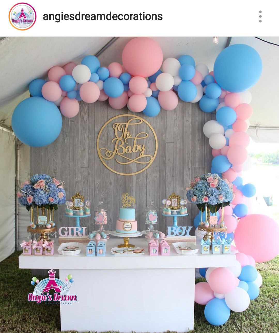 Baby Gender Reveal Decoration Ideas
 Gender Reveal Dessert Table and Decor