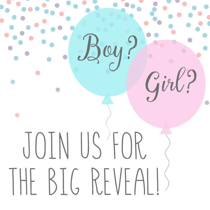 Baby Gender Reveal Party
 Baby Gender Reveal Party Ideas Happiness is Homemade