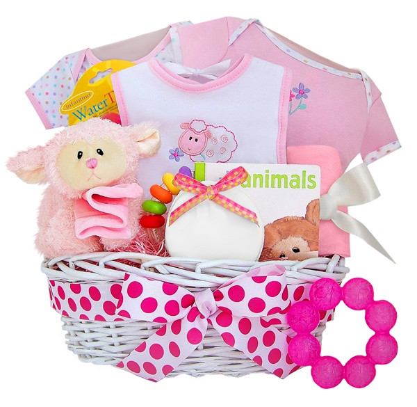 Baby Gift Ideas For Girls
 How To Make Baby Shower Gift Baskets