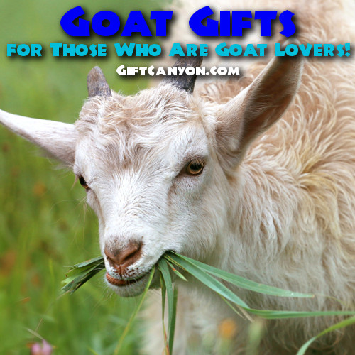 Baby Goat Gifts
 Goat Gifts for Those Who Are Goat Lovers Gift Canyon