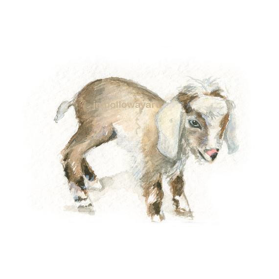 Baby Goat Gifts
 Watercolor Baby Goat Baby Goat Print Baby Goat Art Farm