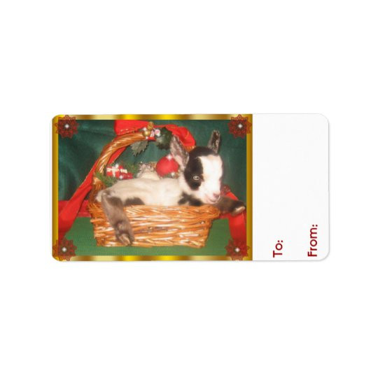 Baby Goat Gifts
 Cute Baby Myotonic Goat Christmas Gift Tag
