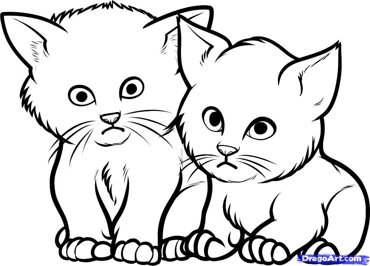 Baby Kitten Coloring Pages
 How to Draw Baby Kittens Baby Kittens Step by Step Pets