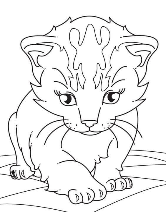Baby Kitten Coloring Pages
 30 Free Printable Kitten Coloring Pages Kitty Coloring