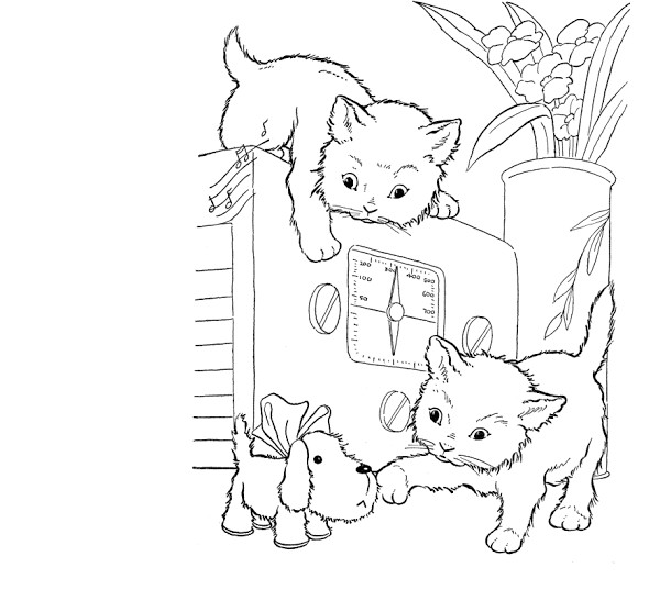Baby Kitten Coloring Pages
 Cute Heart Coloring Pages – Colorings
