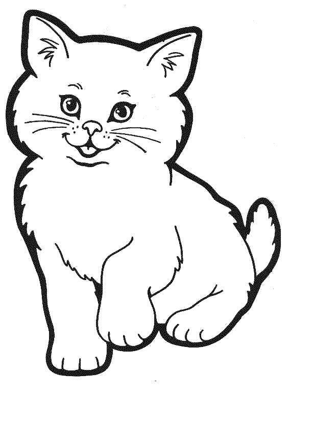 Baby Kitten Coloring Pages
 Cute Baby Cats Coloring Pages Animal
