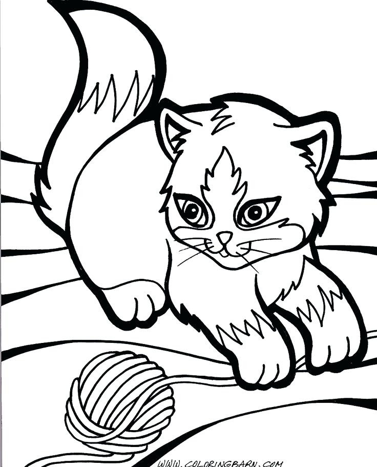 Baby Kitten Coloring Pages
 Kitten Coloring Pages