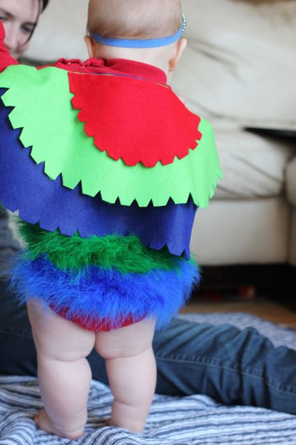 Baby Parrot Costume DIY
 No Sew Infant Parrot Costume Tutorial