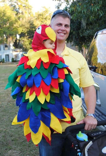 Baby Parrot Costume DIY
 25 best costume DIY rainbow macaw parrot images on