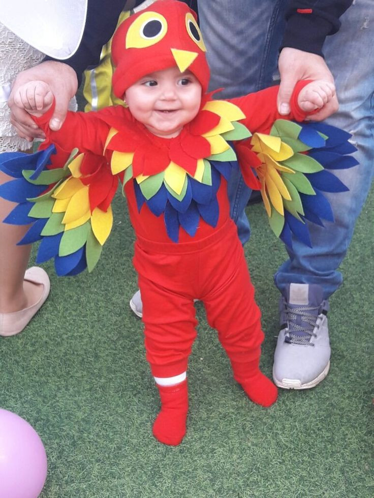Baby Parrot Costume DIY
 Best 25 Parrot costume ideas on Pinterest