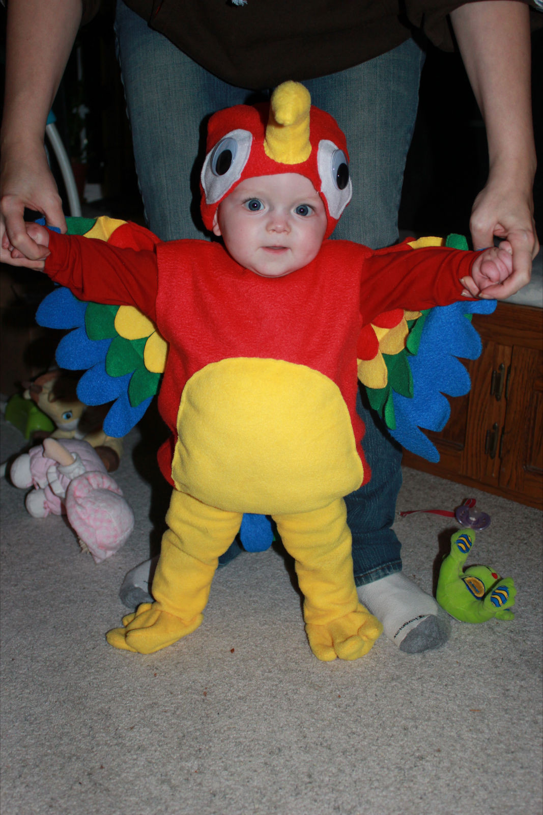 Baby Parrot Costume DIY
 Parker Want a Cracker w Mini Tutorial – Everything Your