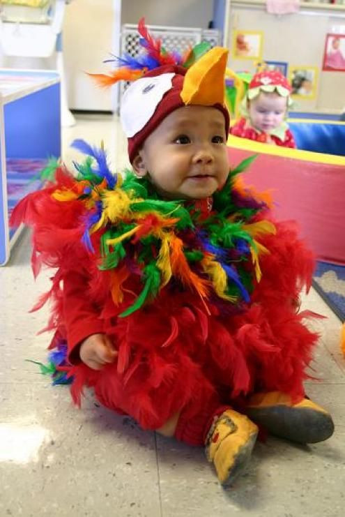 Baby Parrot Costume DIY
 super crafty Halloween costumes — Updated