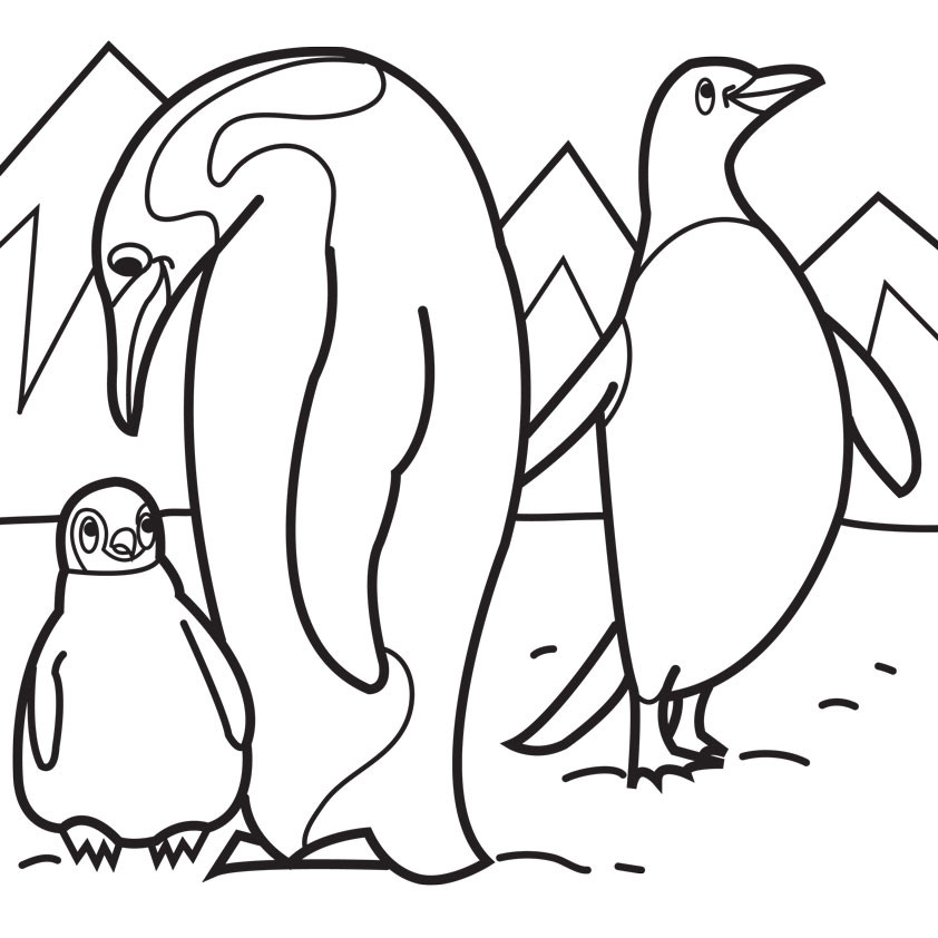 Baby Penguin Coloring Page
 How to Order Cartoon Caricature Ads and Gifts of People