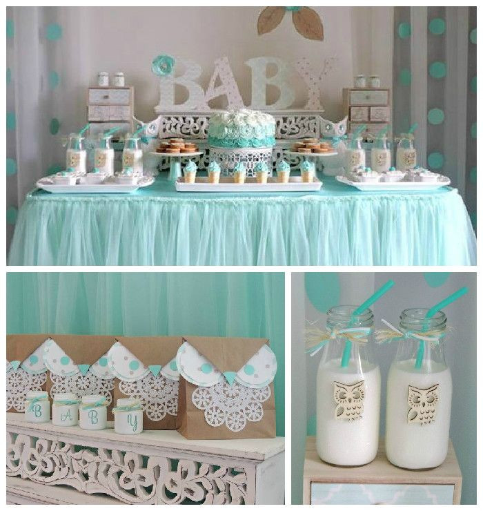 Baby Shower Party Decorations Ideas
 Turquoise Owl "Wel e Home Baby" Party