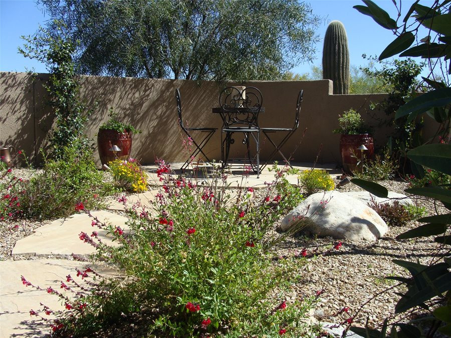 Backyard Desert Landscape
 Low Maintenance Front Yard Landscaping Landscaping Network