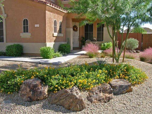Backyard Desert Landscape
 Pin by Diane Botello on Backyard Idea