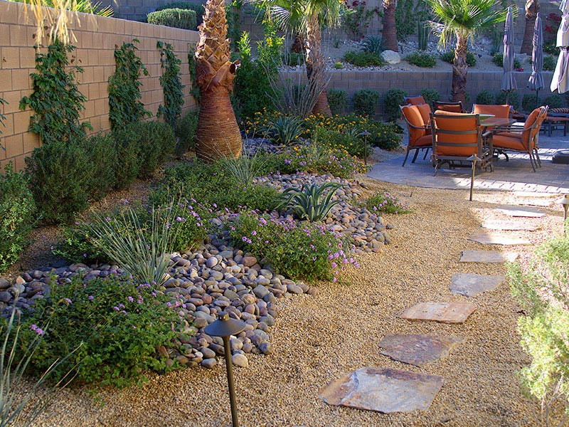 Backyard Desert Landscape
 Desert Landscaping How To Create Fantastic Desert Garden