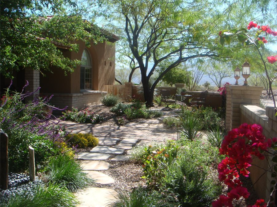 Backyard Desert Landscape
 Front Yard Landscaping Ideas Landscaping Network