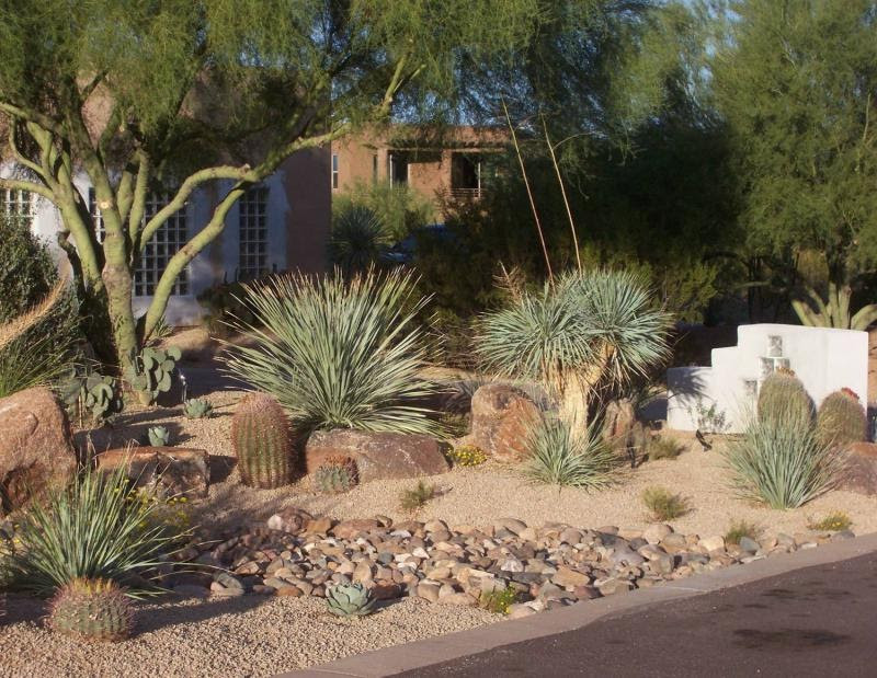Backyard Desert Landscape
 BACKYARD LANDSCAPING IDEAS LANDSCAPING IDEAS