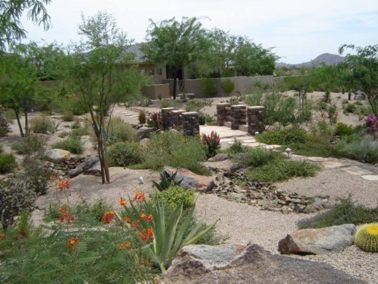 Backyard Desert Landscape
 Desert Landscaping Ideas