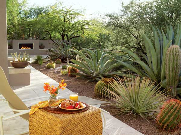 Backyard Desert Landscape
 How to Give Your Desert Backyard Southwestern Flair