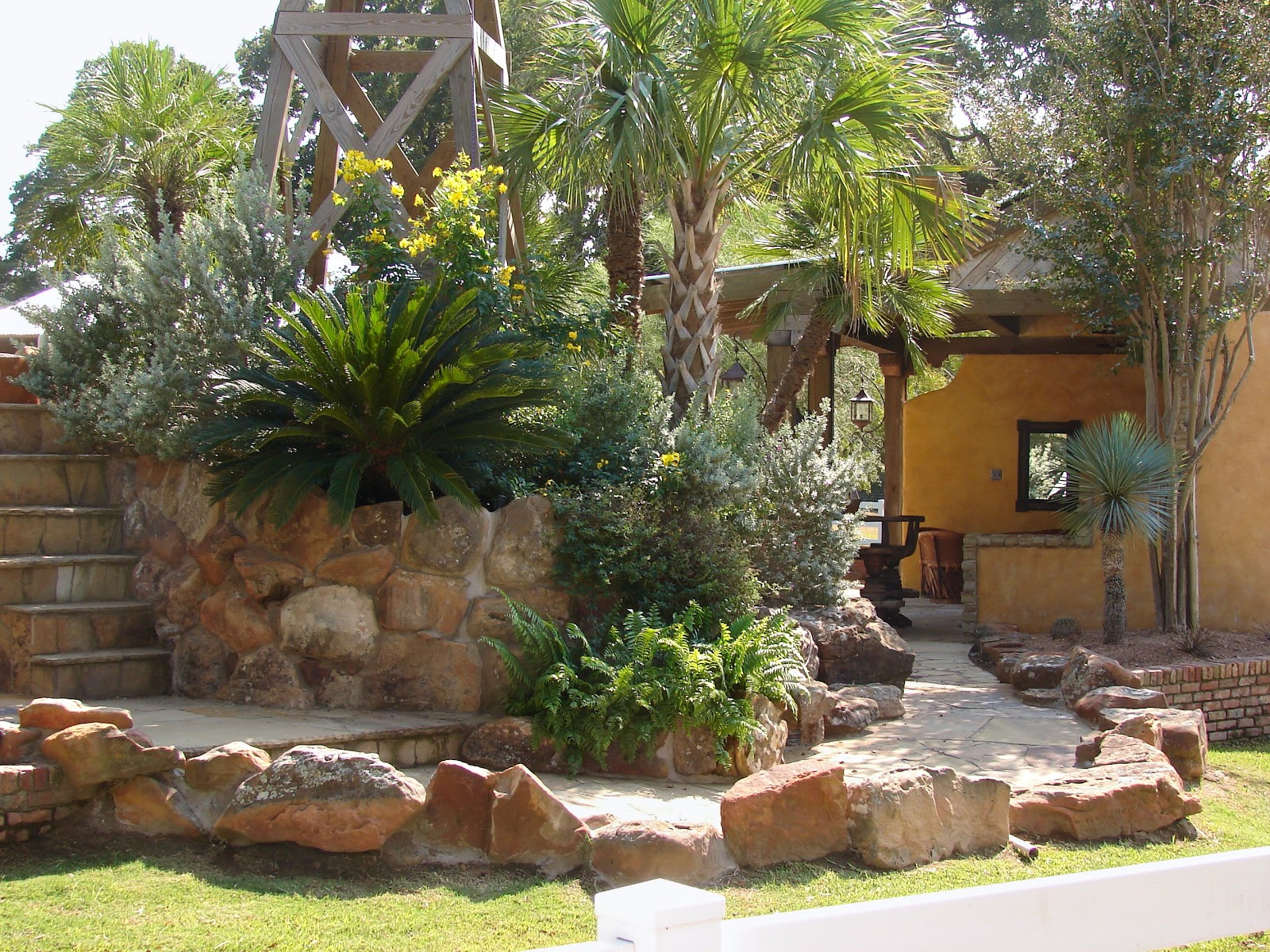Backyard Desert Landscape
 Cultivating Paradise Water wise Gardening