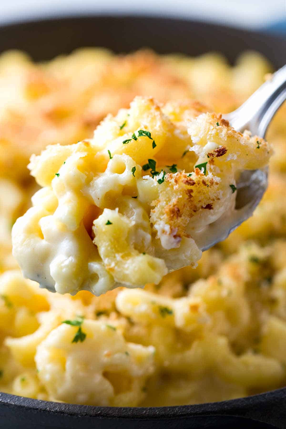 Baked Macaroni And Cheese Bread Crumbs
 Baked Macaroni and Cheese with Bread Crumb Topping
