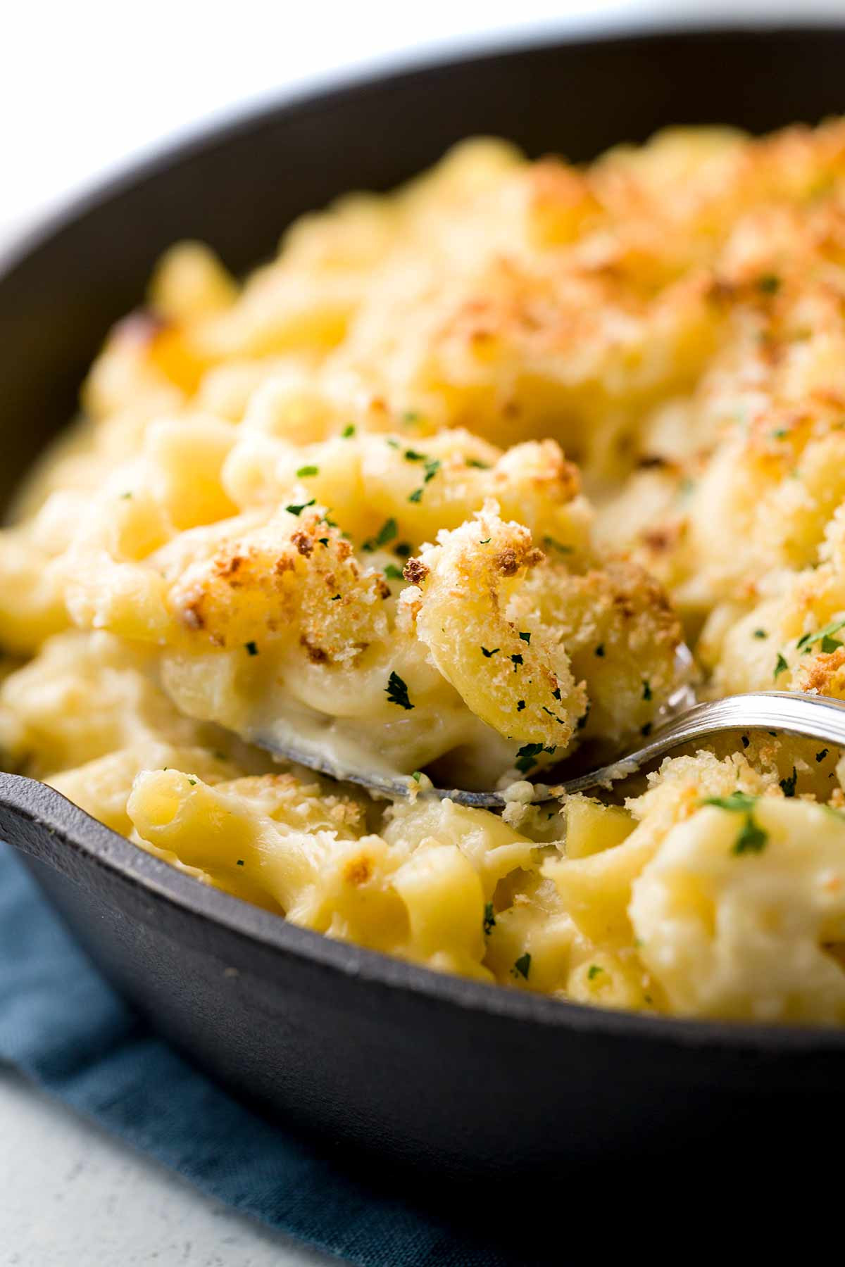 Baked Macaroni And Cheese Bread Crumbs
 Baked Macaroni and Cheese with Bread Crumb Topping