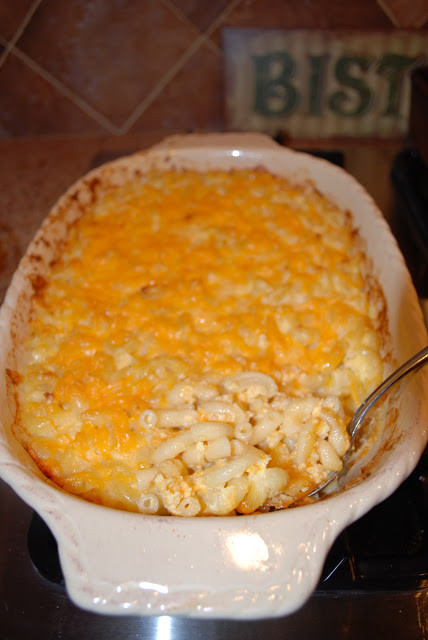 Baked Macaroni And Cheese Sour Cream
 Southern Style Macaroni and Cheese Amee s Savory Dish