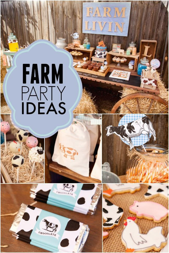 Barnyard Birthday Party Supplies
 41 Farm Themed Birthday Party Ideas Spaceships and Laser