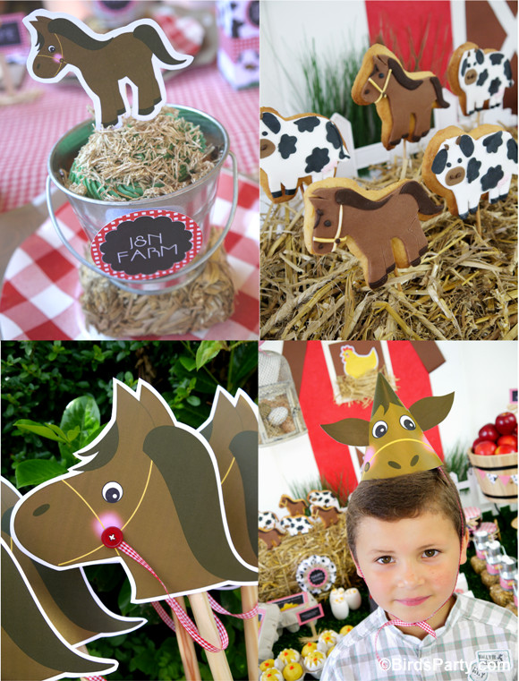 Barnyard Birthday Party Supplies
 My Kids Joint Barnyard Farm Birthday Party Party Ideas