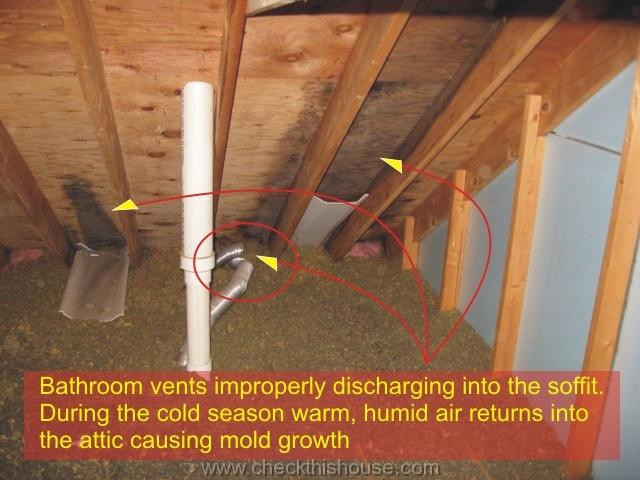 Bathroom Exhaust Fan Roof Vent
 about venting bathroom exhaust