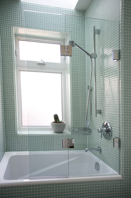 Bathroom Shower Doors
 Double Panel Frameless Bathtub Screen Traditional