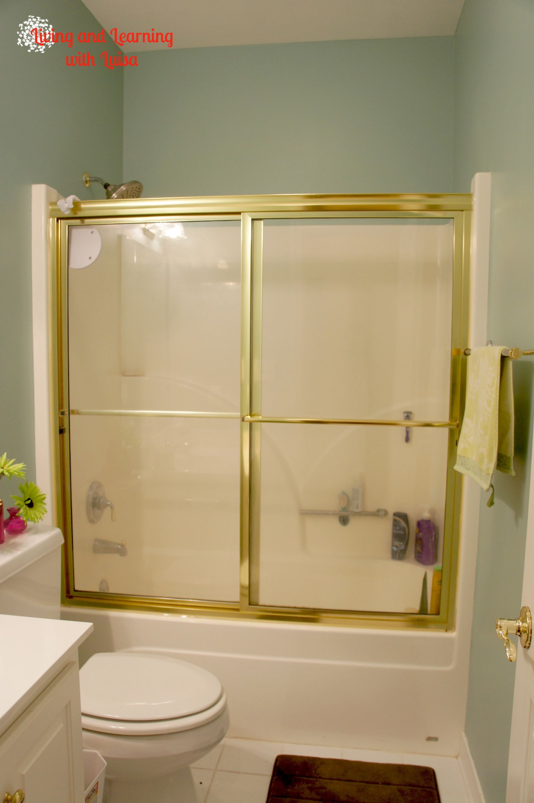 Bathroom Shower Doors
 How to Remove Shower Glass Doors
