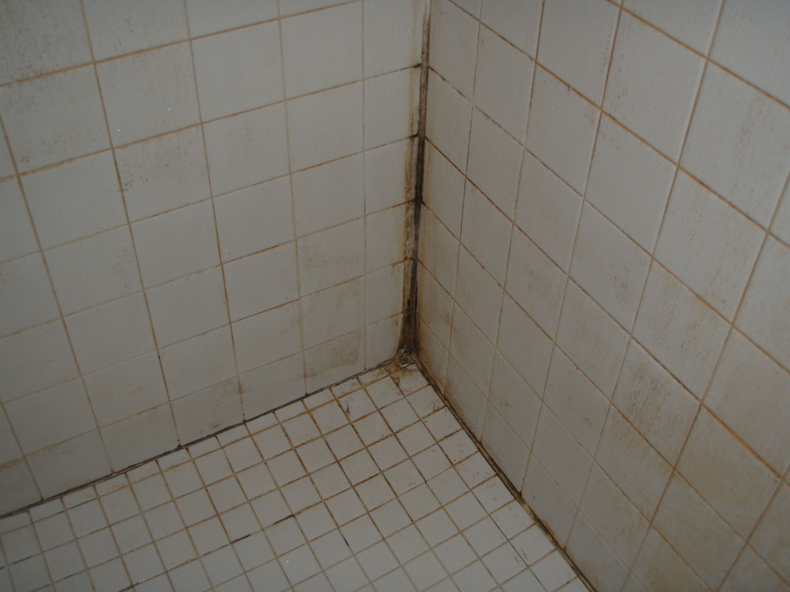 Bathroom Tile Grout Sealer
 Master Bathroom Week 8 Tile Sealing And Grout Color Test