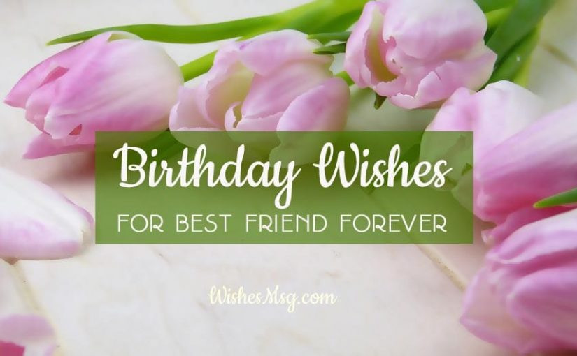 Best Birthday Wishes For A Friend
 Birthday Wishes For Best Friend Forever Male and Female