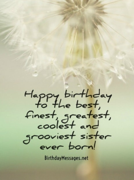 Best Birthday Wishes For Sister
 Sister Birthday Wishes 200 Birthday Messages for Sisters