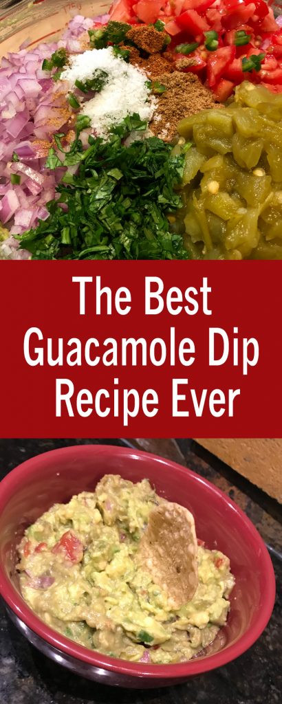 Best Guacamole Dip Recipe
 Sabrina s Organizing